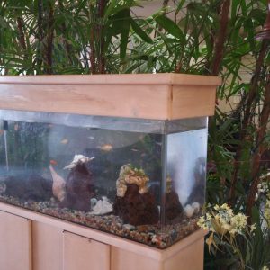 Bonita Guest Home LLC fish tank.jpg