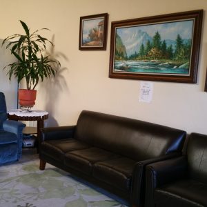 Bonita Guest Home LLC living room 2.jpg