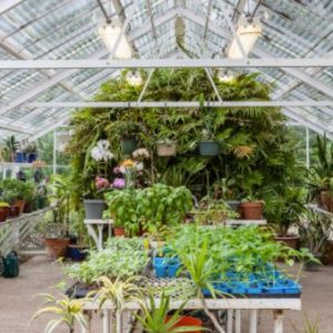 Poway Gardens Senior Living - The Farm House Greenhouse 2.JPG