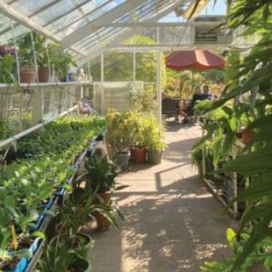 Poway Gardens Senior Living - The Farm House Greenhouse.JPG