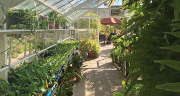 Poway Gardens Senior Living - The Farm House Greenhouse.JPG