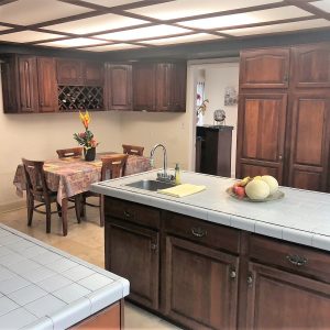 A.C.E. Advanced Care for Elderly 4 - kitchen.JPG