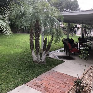 A.C.E. Advanced Care for Elderly patio 2.JPG