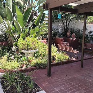 Aberdeen Terrace 6 - garden patio.JPG