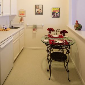 Aegis of Dana Point 6 - kitchenette.jpg