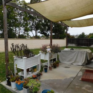 Amparo Senior Care LLC 5 - patio.JPG