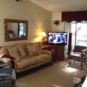 Anaheim Hills Home Care 4 - living room 2.JPG