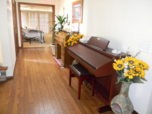 Anne's Place II piano.JPG