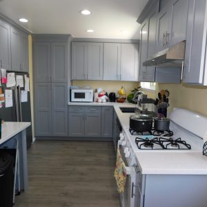 Avalon Palm 5 - kitchen.JPG