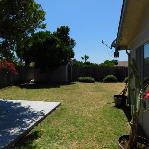 Avalon Palm 9 - backyard.JPG