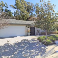 Blue Skies of Laguna Niguel 1 - street view.JPG