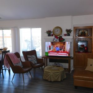 Blue Skies of San Diego Coast 3 - living room.JPG