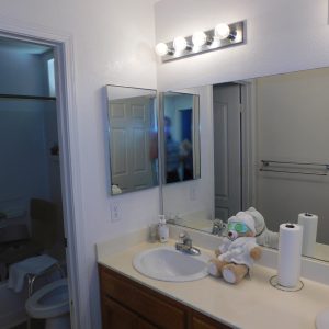 Blue Skies of San Diego Coast bathroom 2.JPG