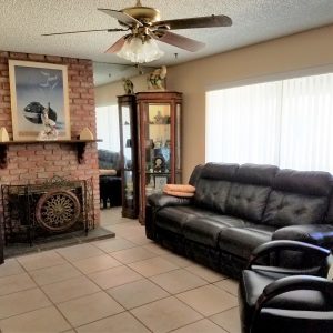 Blue Skies of Tri-City 4 - living room.jpg