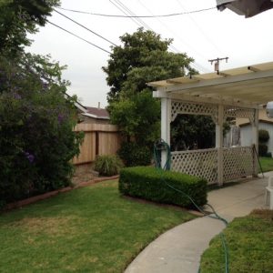 California Guest Home I 4 - backyard.JPG