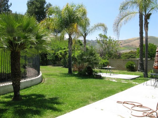 Camino Hills of San Clemente yard 2.jpg