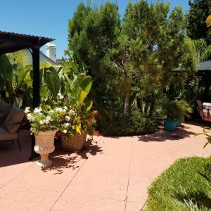 Carlsbad Comfort Care 6 - patio 2.jpg