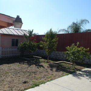 Casa Primavera fruit trees.JPG