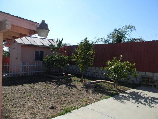 Casa Primavera fruit trees.JPG