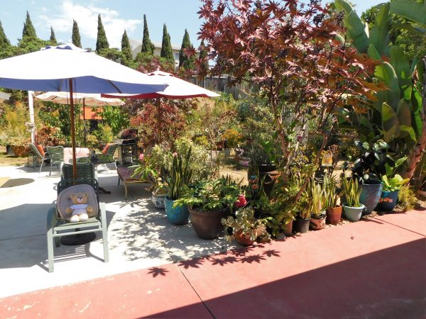 Chula Vista Home Care patio.jpg