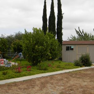 Citrus Garden Residential Care yard.jpg