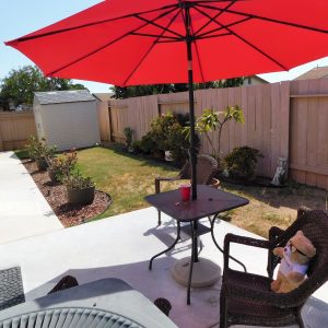 Easy Living at Mira Mesa 10 - backyard.JPG