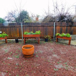 Escondido Retirement Garden 9 - Garden Beds.JPG