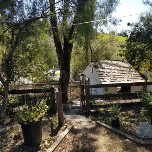 Family Care - Buckboard Home 5 - horse barn.jpg