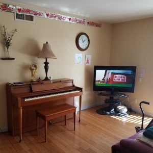 Family Care - El Mar Home 4 - entertainment room.jpg