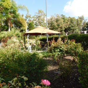 Gardens at Escondido Rose Gardens.JPG