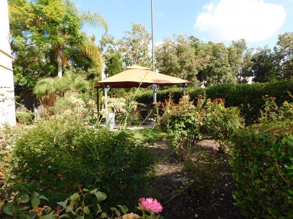 Gardens at Escondido Rose Gardens.JPG