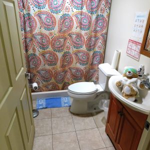 Gate Manor III 6 - Bathroom.JPG