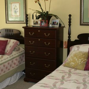 Horizon Senior Living 5 - shared room.JPG