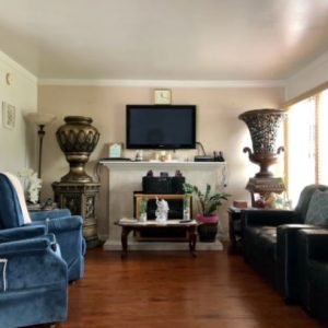 Huntington Beach Guest Home II 3 - living room.JPG