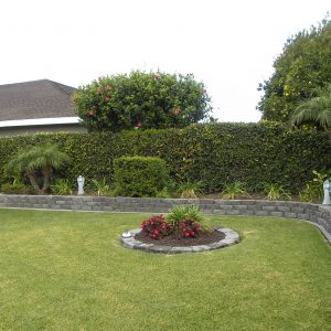 Ivy Cottages III yard.jpg