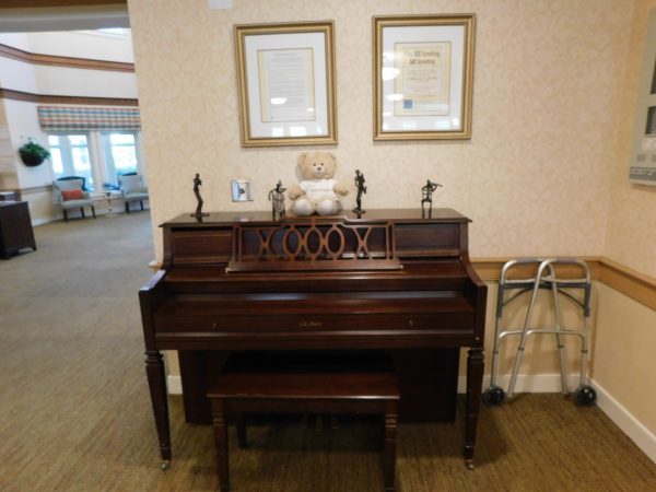 Ivy Park at Bonita Piano.JPG