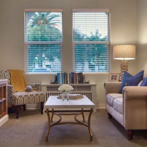 Ivy Park at Otay Ranch apartment living room.JPG