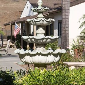 Ivy Park at San Juan Capistrano courtyard.JPG