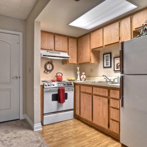 Ivy Park of Wellington apartment kitchen.jpg