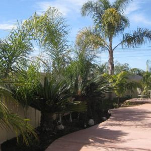 Julia's Cottage 6 - patio.JPG