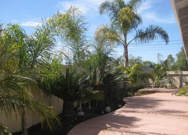 Julia's Cottage 6 - patio.JPG