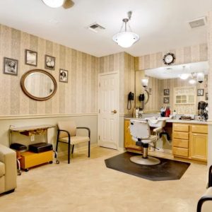 Kirkwood Orange 9 - salon.JPG