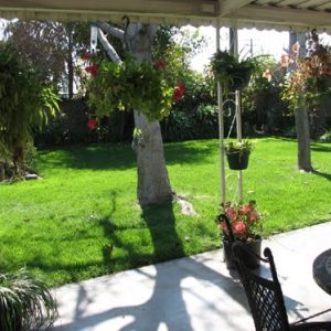 La Habra Plaza 6 - back patio.jpg