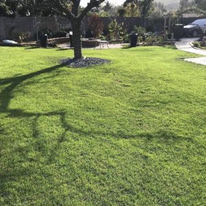 La Valhalla Residential Care back yard.JPG