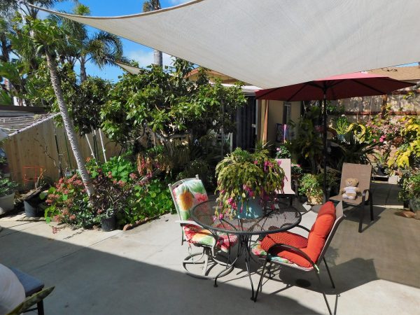 Maile Aloha 8 - Backyard.JPG