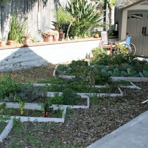 Niguel Hills Villa II 6 - garden.JPG