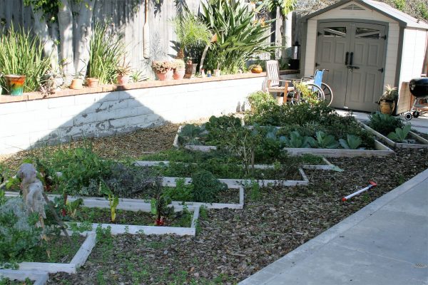 Niguel Hills Villa II 6 - garden.JPG