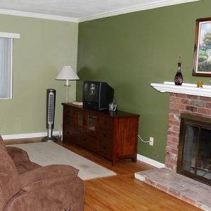 Noble Living I 3 - fire place.JPG