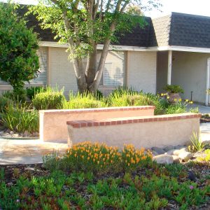 North County Care Home 1 - front view.jpg