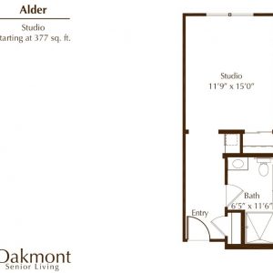 Oakmont of Huntington Beach floor plan studio Alder.JPG